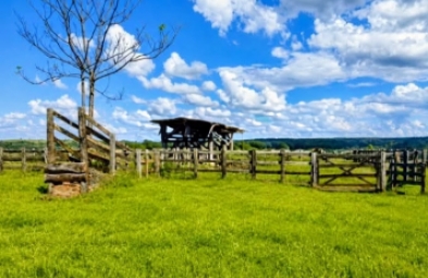 Fazenda para venda em Bofete